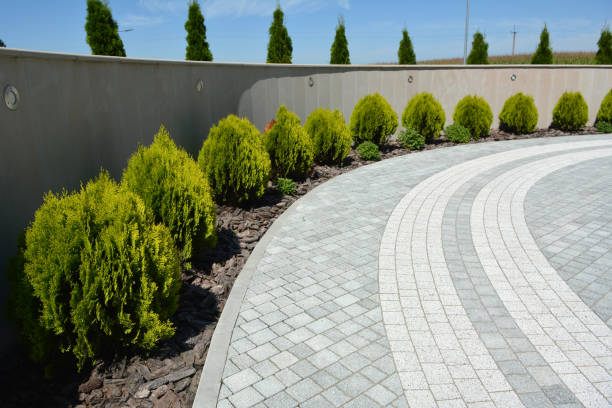 Best Local Driveway Pavers  in Leland, NC